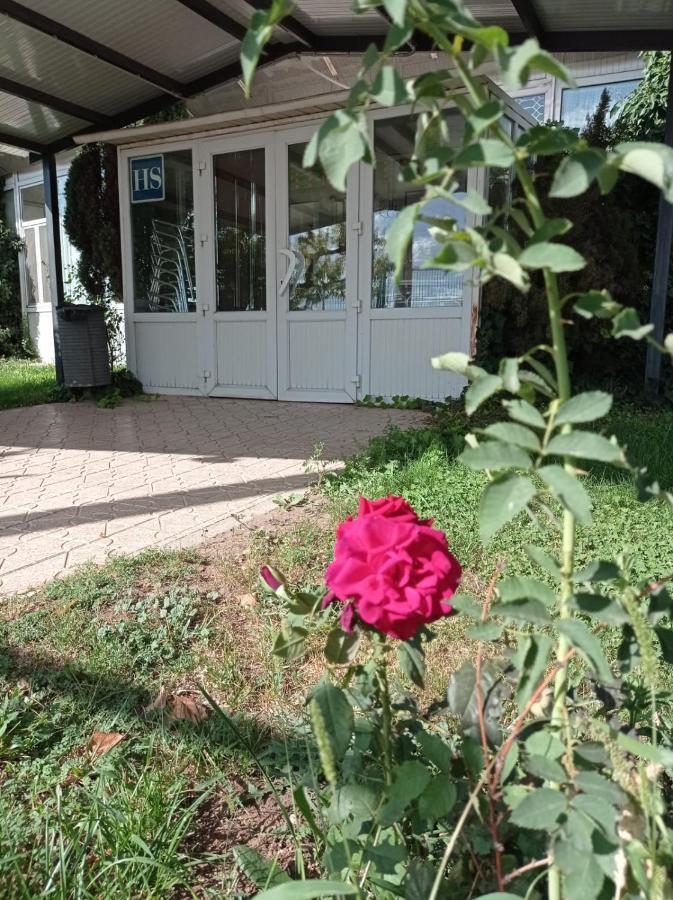 Hostal Brin Monreal del Campo Kültér fotó